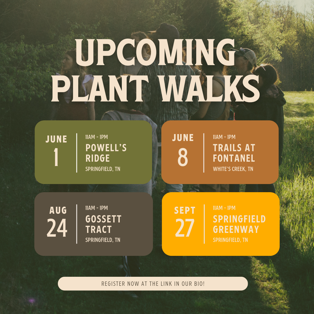 Cedar Hill Apothecary Plant Walks