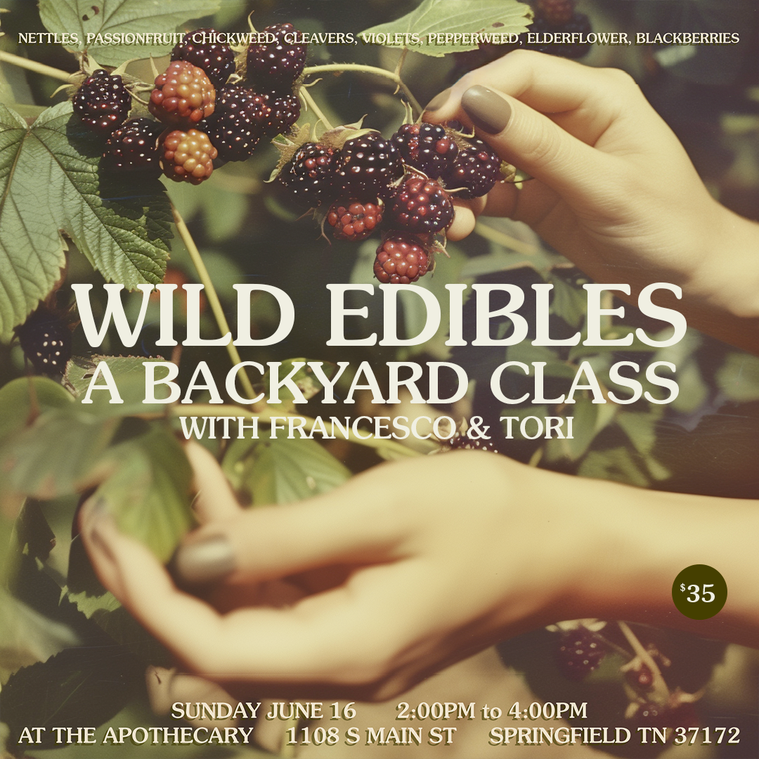 Wild Edibles Class
