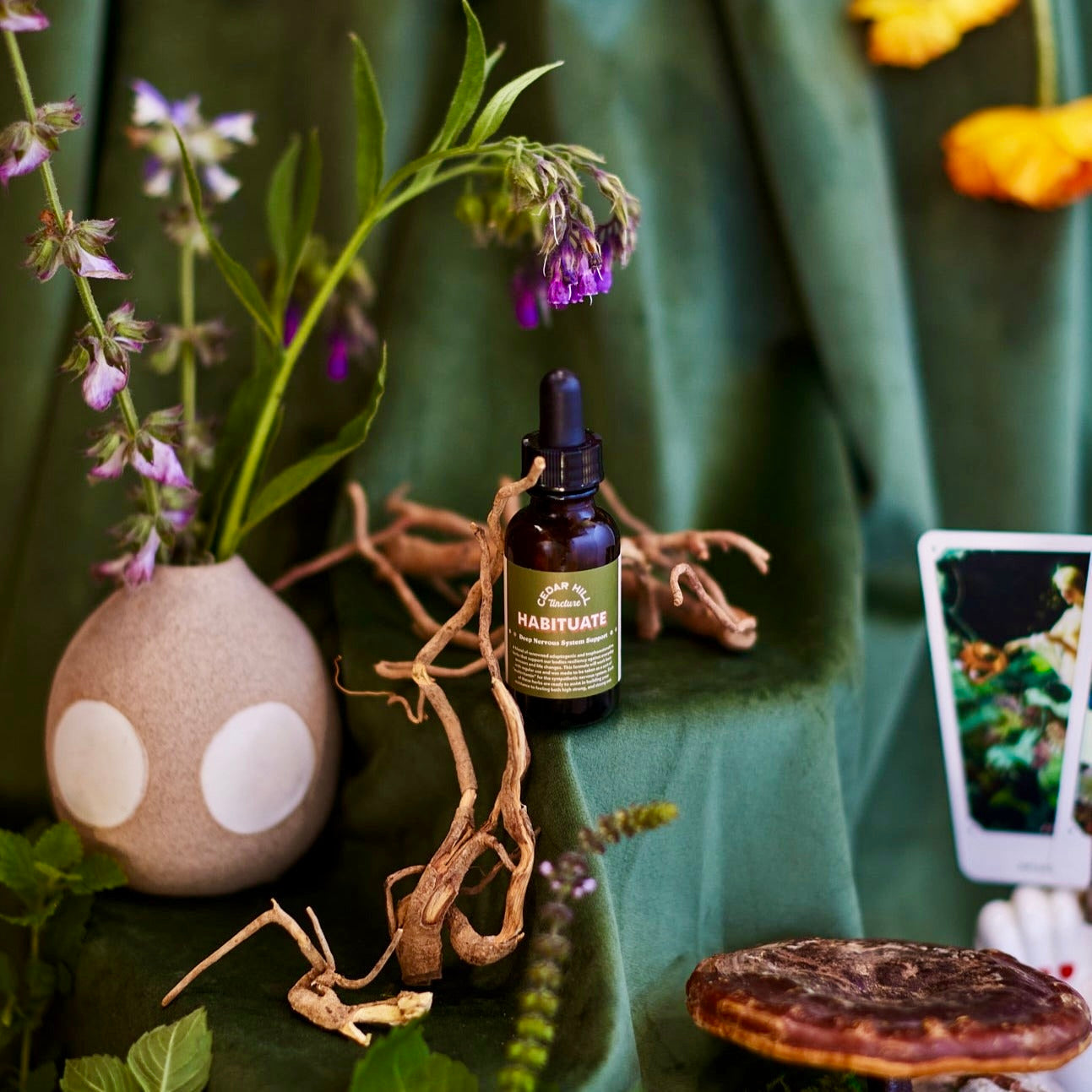Habituate Tincture