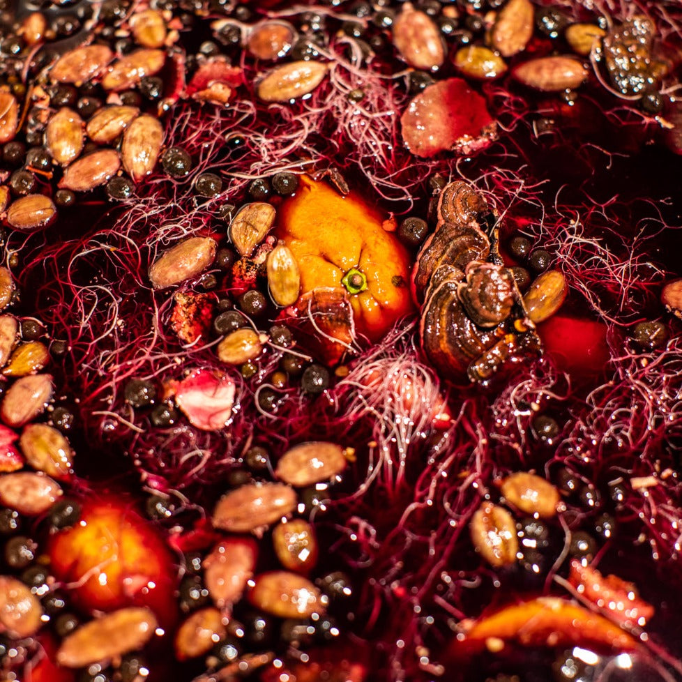 The End-All Be-All Elderberry Workshop