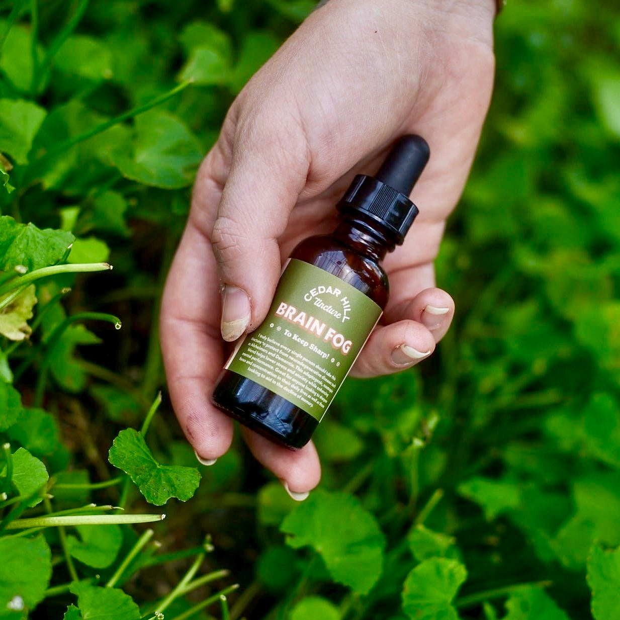 Brain Fog Tincture