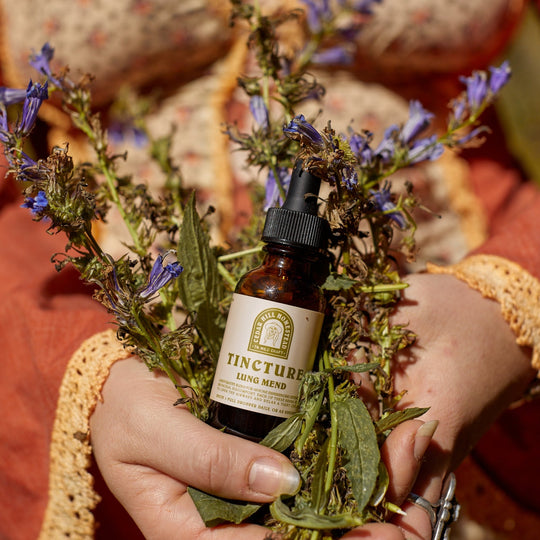 Lung Mend Tincture