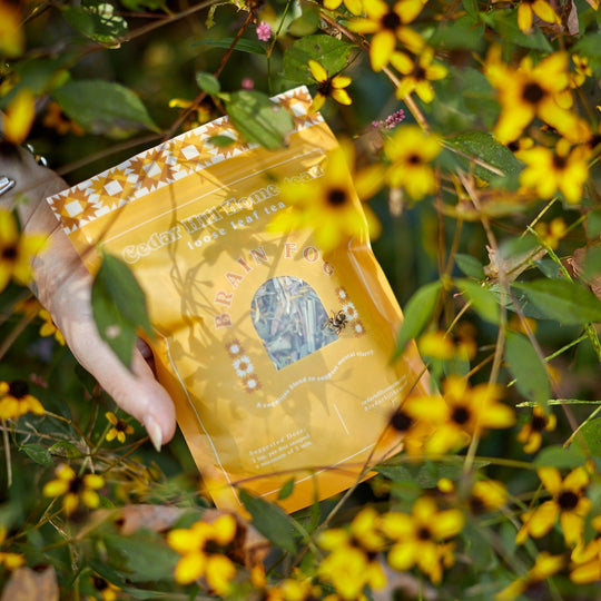 Brain Fog Loose Leaf Tea