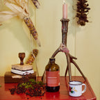 Elderberry Syrup Concentrate