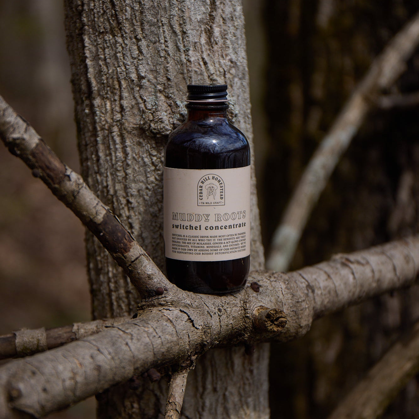 SALE Muddy Roots Switchel Concentrate