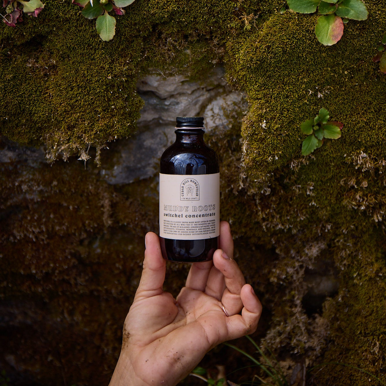 SALE Muddy Roots Switchel Concentrate