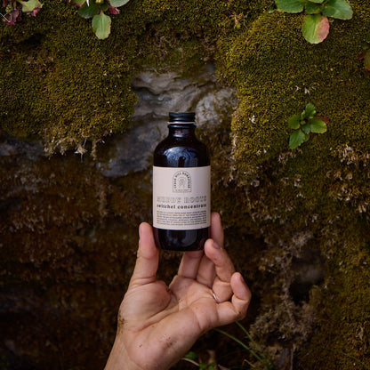 SALE Muddy Roots Switchel Concentrate
