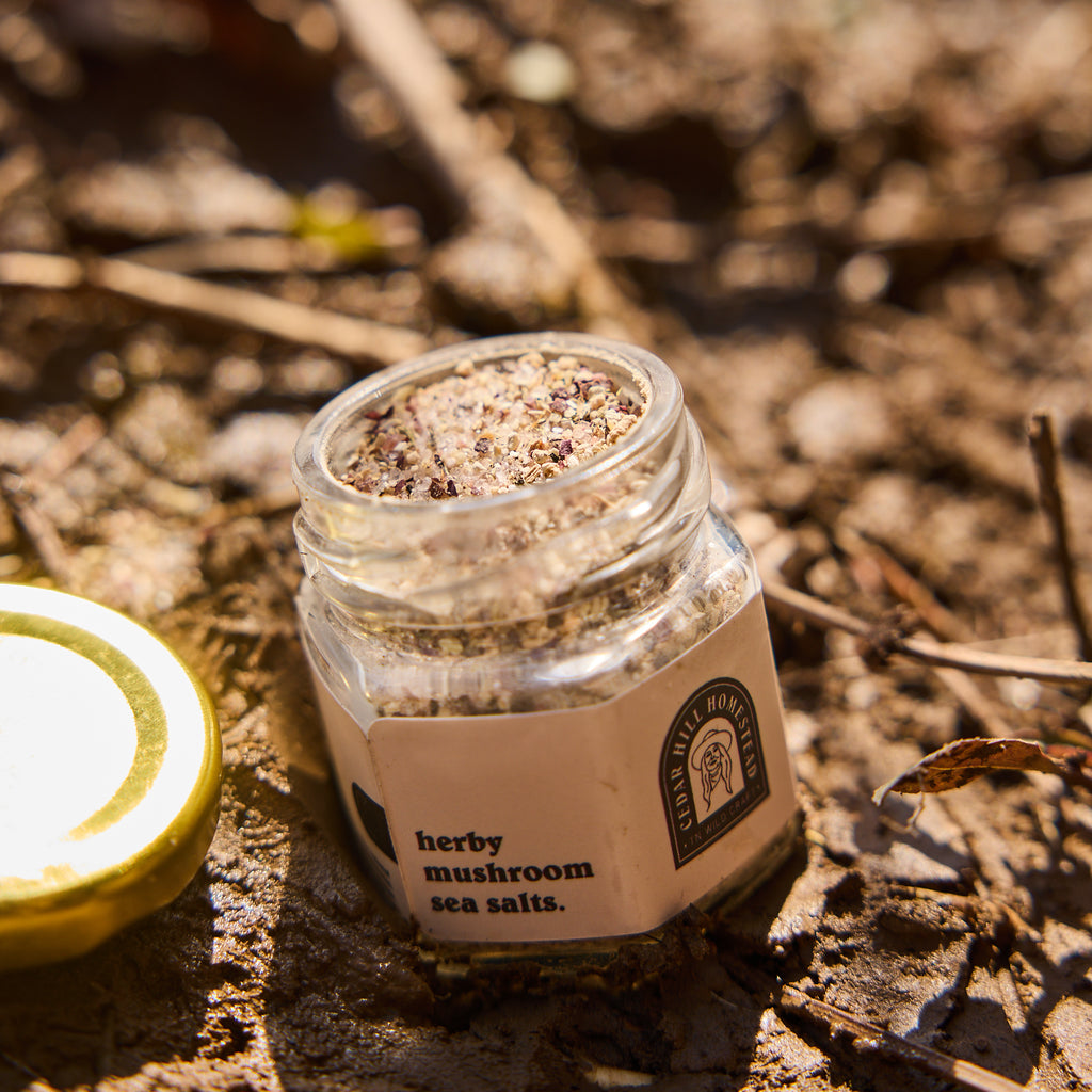 Herby Mushroom Salts