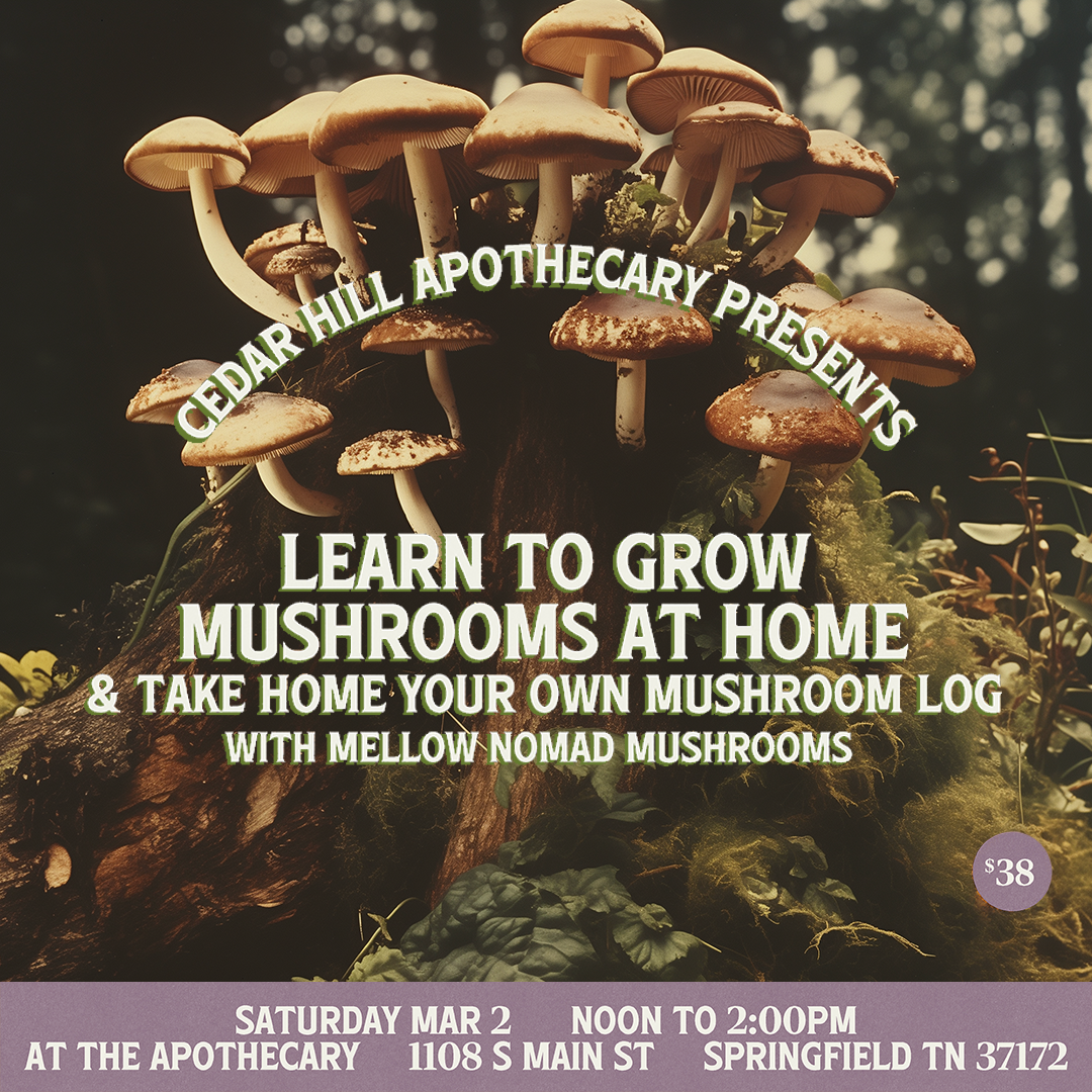 Learn to Grow Mushrooms with Mellow Nomad Mushrooms & Maple Tapping with Tori