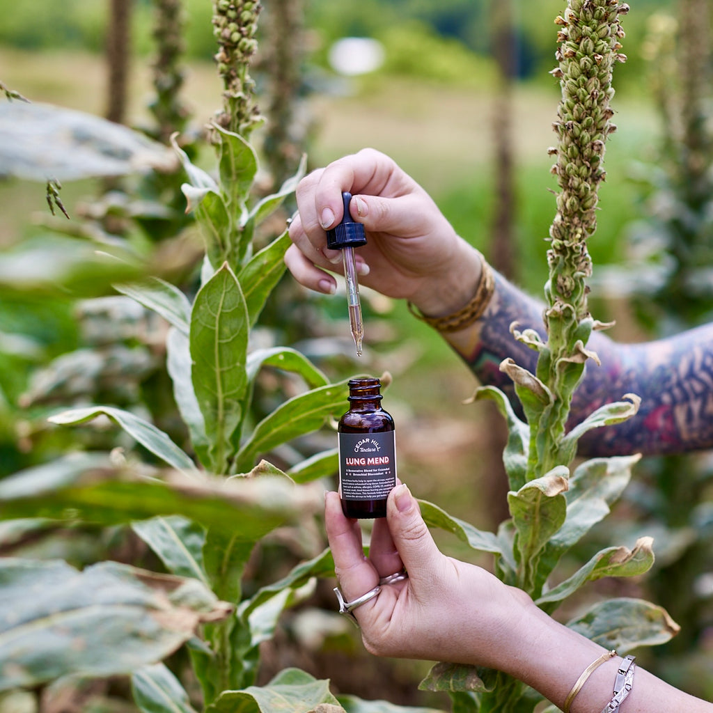 Lung Mend Tincture
