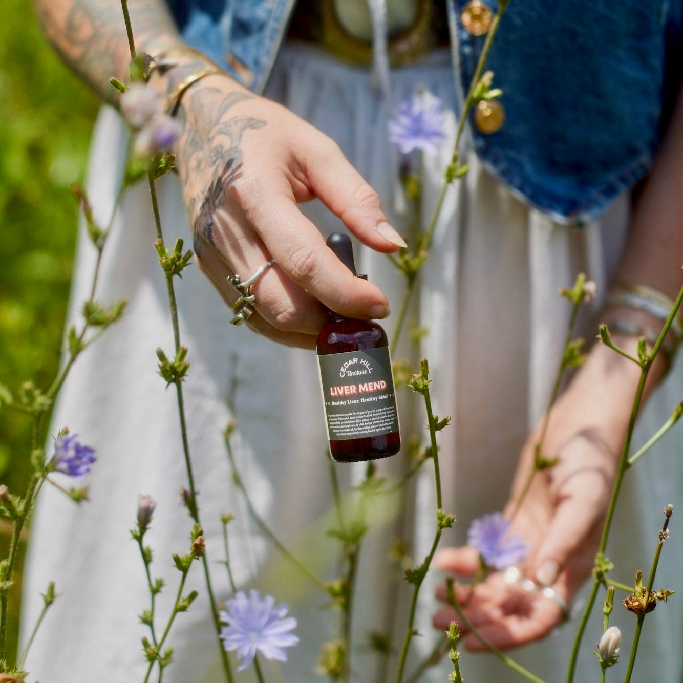 Liver Mend Tincture
