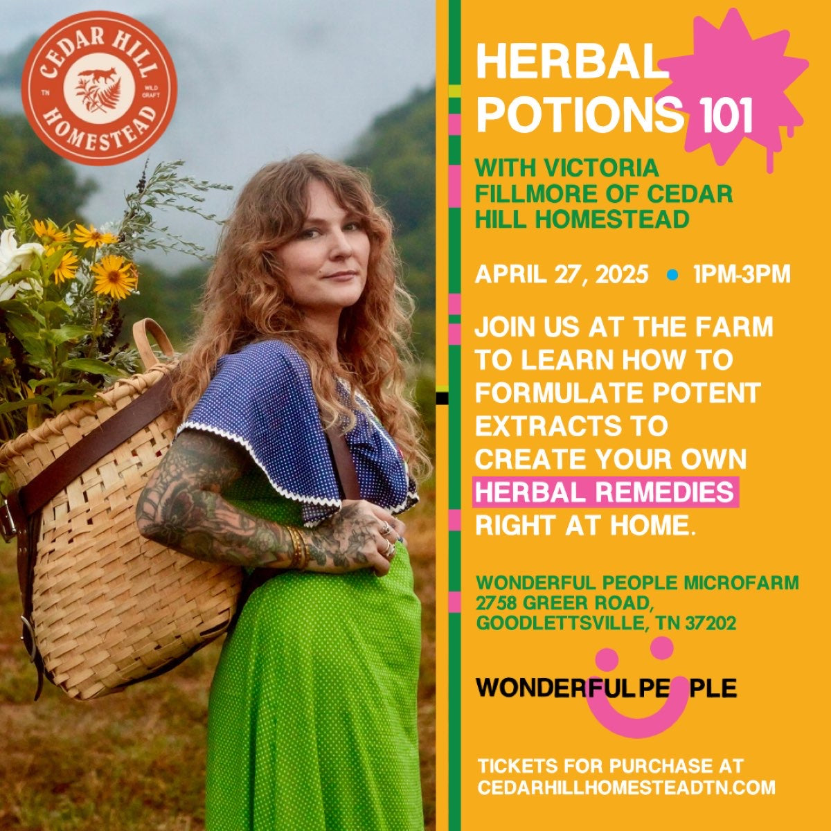 Herbal Potions 101 (All Things Solubility)