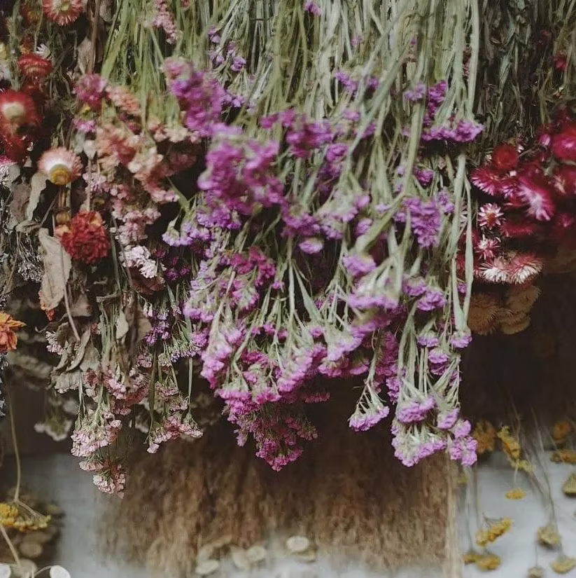 Dried flower arrangements hanging vertically, featuring clusters of pink, purple, red, and muted orange blossoms with pale green stems against a soft neutral background.