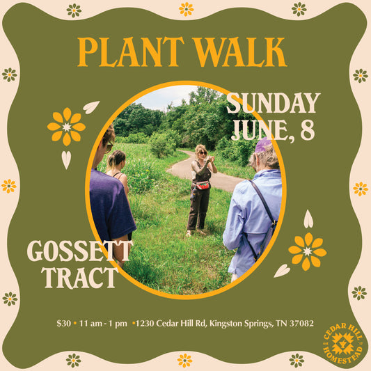 Plant Walk at Gossett Tract