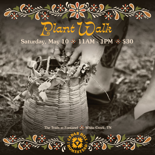 Plant Walk at the Fontanel