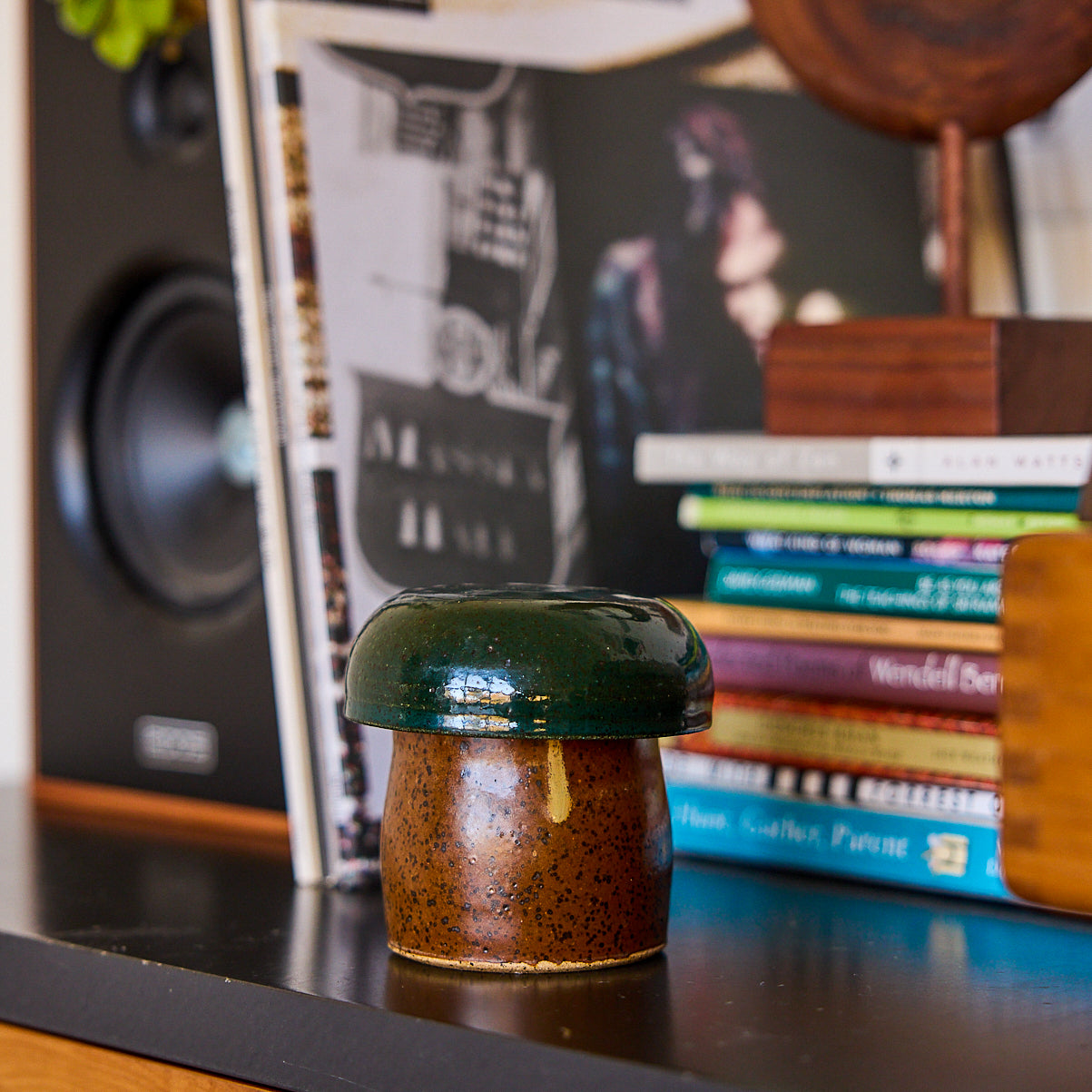 Ceramic Mushroom Crocks