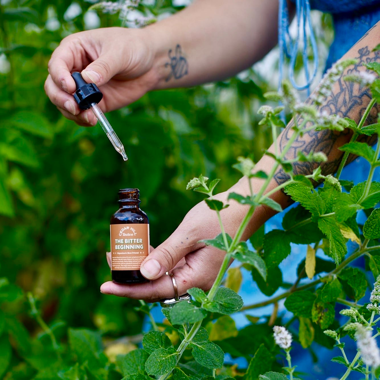 The Bitter Beginning Tincture