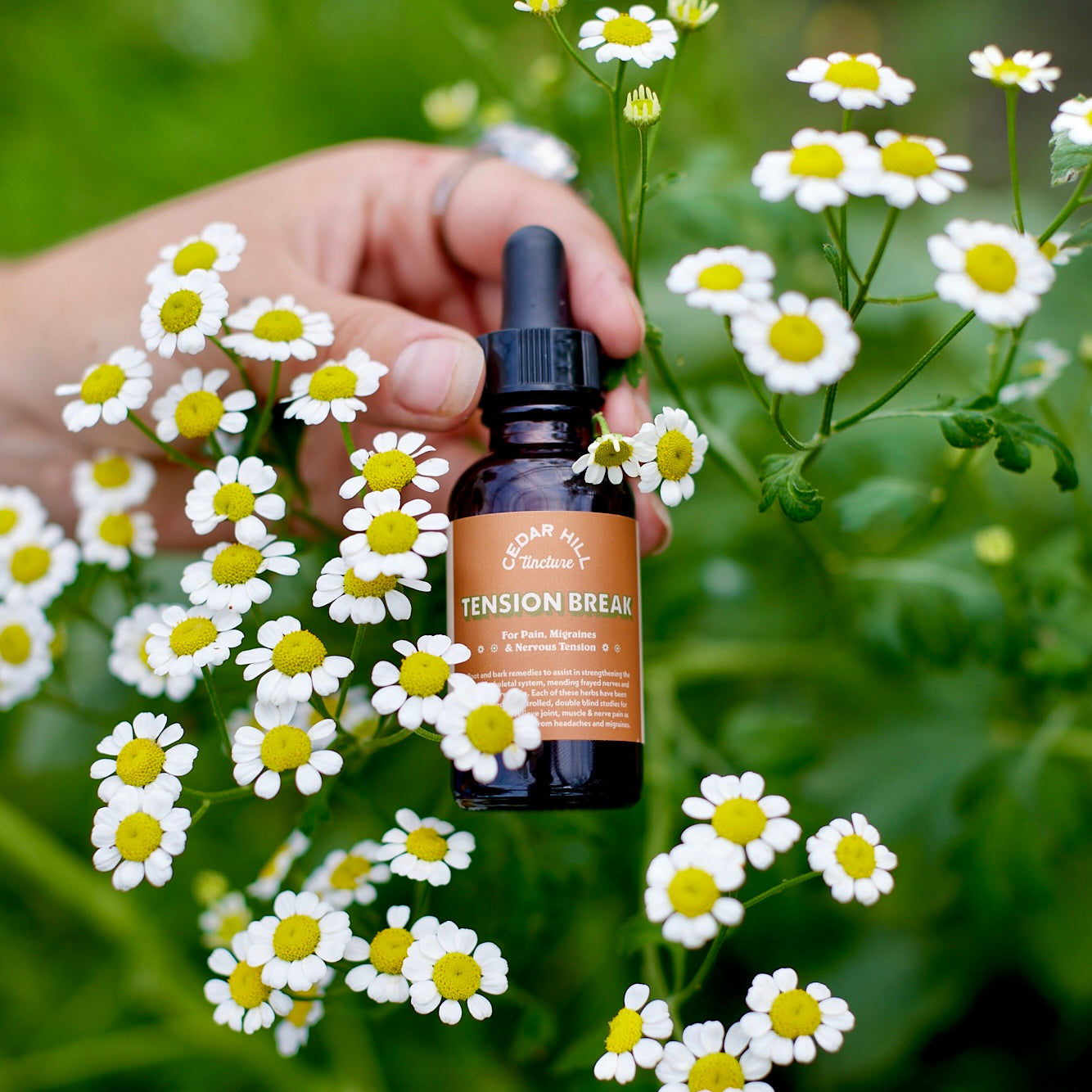 Tension Break Tincture