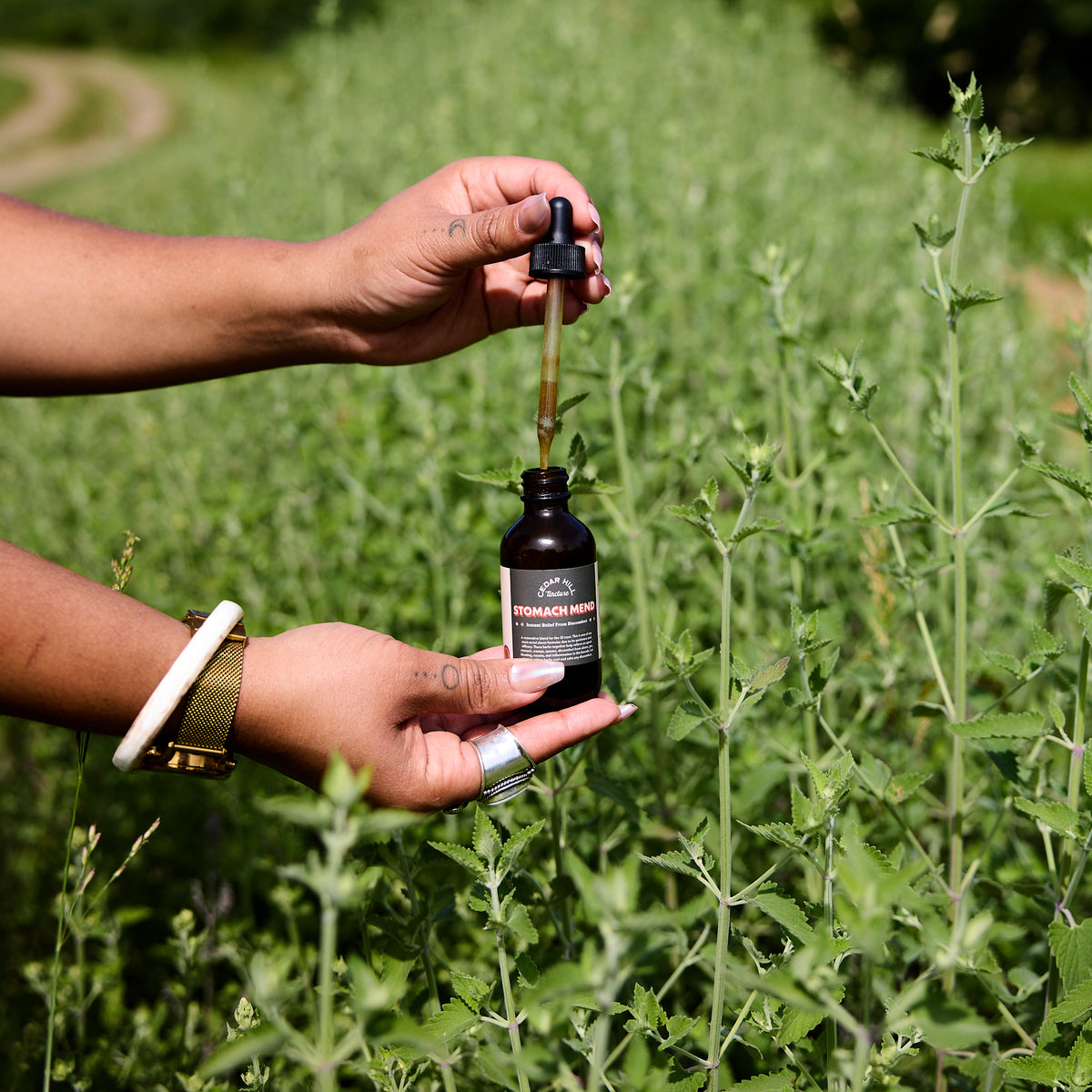 Stomach Mend Tincture