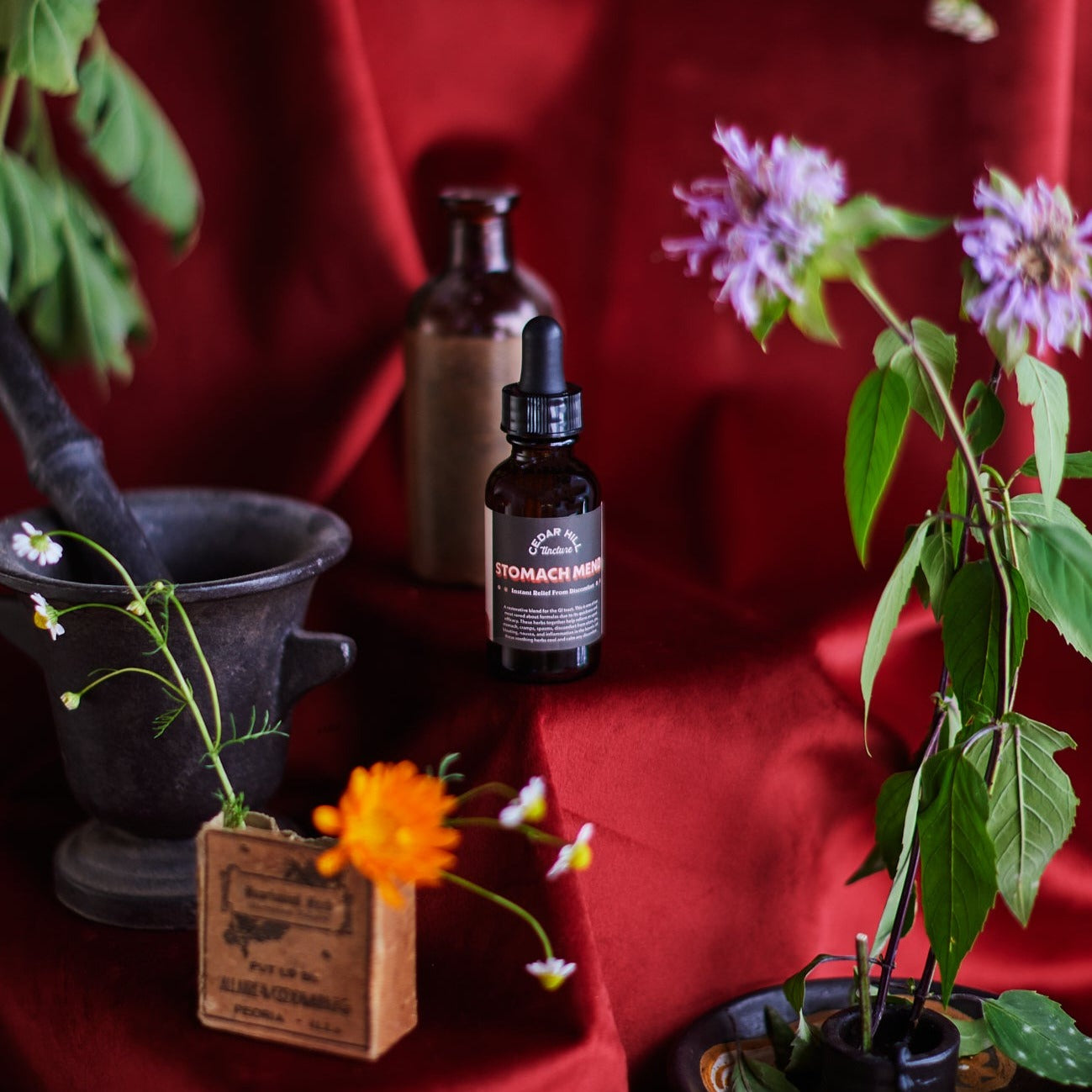 Stomach Mend Tincture