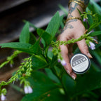 Forest's Pull Black Drawing Salve