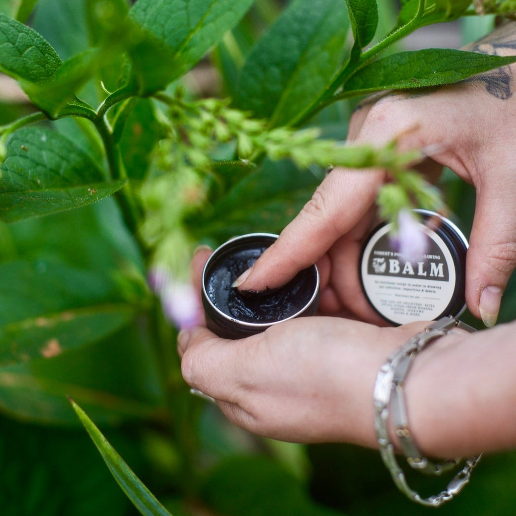 Forest's Pull Black Drawing Salve