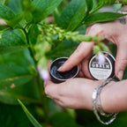 Forest's Pull Black Drawing Salve