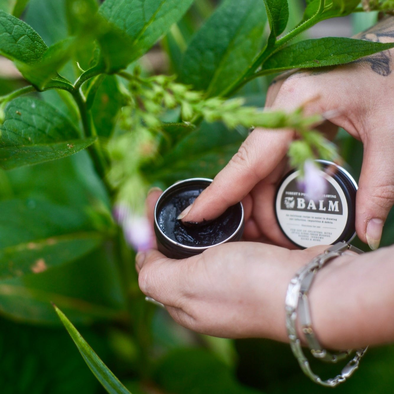 Forest's Pull Black Drawing Salve