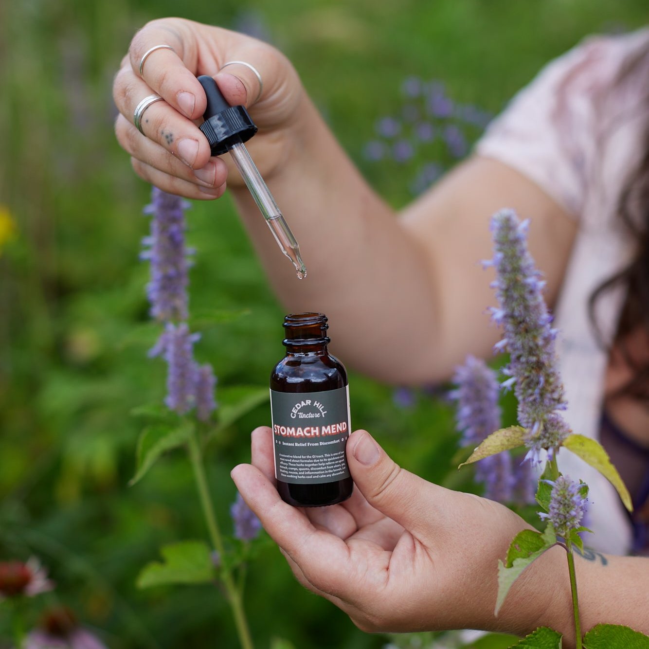 Stomach Mend Tincture