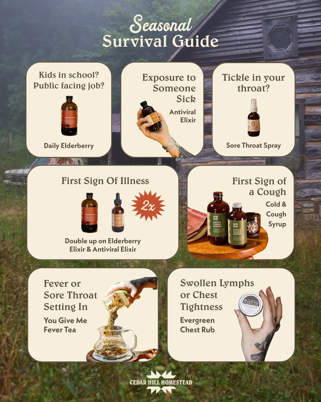 Seasonal wellness guide: what to reach for during cold and flu season