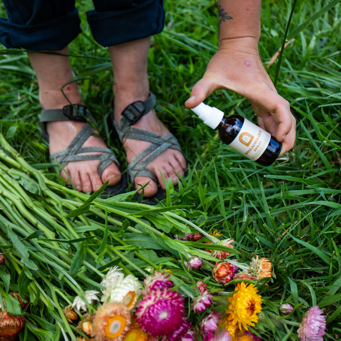 Appalachia Itch Spray