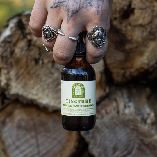 Thistle Family Reunion Tincture